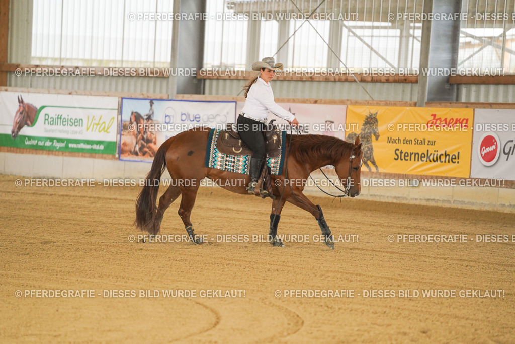 DSC00316 | Pferdegrafie