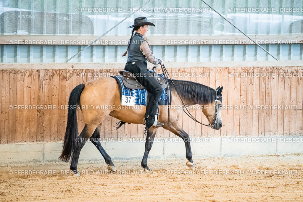 DSC00105 | Pferdegrafie