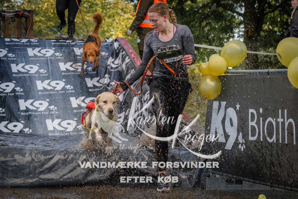 1555_ZZ91245 | kk-dogfotos