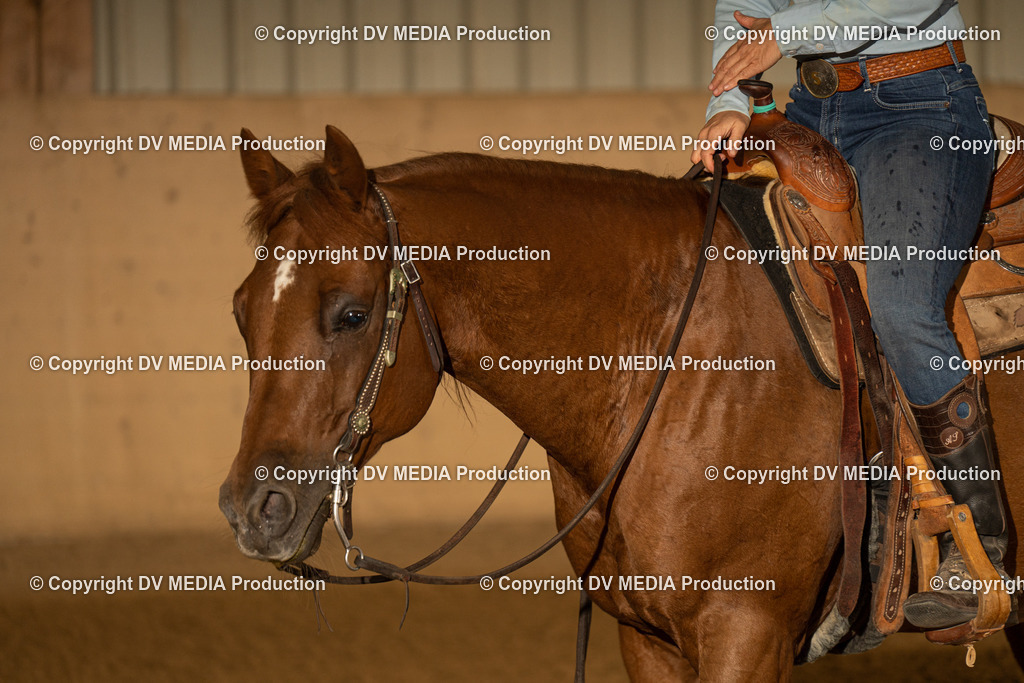 LAU00051 | dv-media-shop - Realisiert mit Pictrs.com