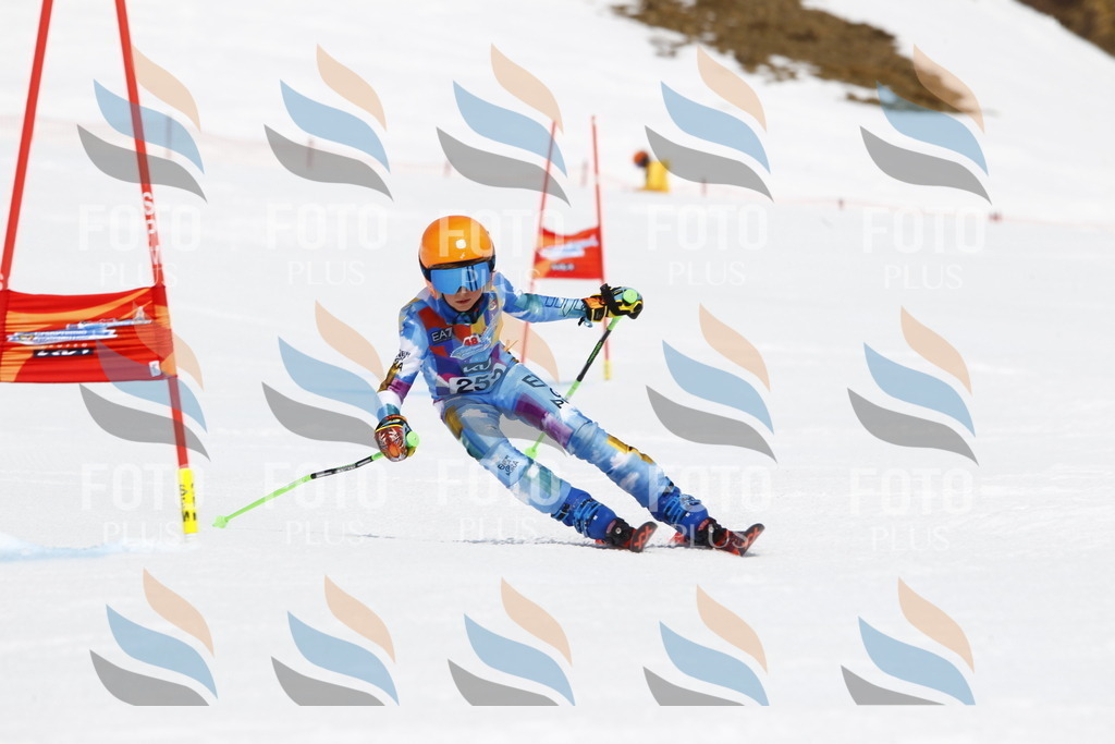 _U3G6342 | holidayphoto