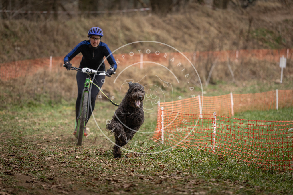 Pfotenfotografie_DV3A0632 | Hundefotografie, Tierfotograf, Pfotenfotografie, Fotoshooting Hund, Hunde Portrait, Hundesport, Hundeportraits, Heideshooting, Hunde, Sportfotograf, Hundefotograf, Turnierhundsport, THS,  - Realisiert mit Pictrs.com