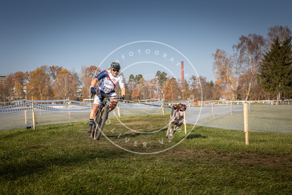 CaniXpix_0L8A6960 | Hundefotografie, Tierfotograf, Pfotenfotografie, Fotoshooting Hund, Hunde Portrait, Hundesport, Hundeportraits, Heideshooting, Hunde, Sportfotograf, Hundefotograf, Turnierhundsport, THS,  - Realisiert mit Pictrs.com