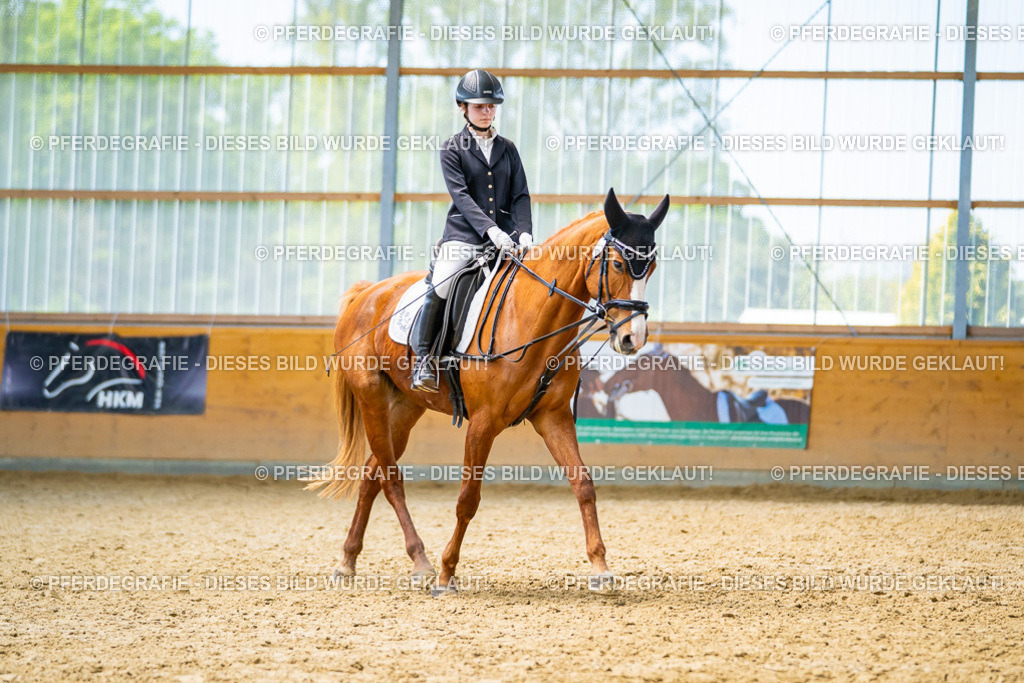 DSC09441 | Pferdegrafie