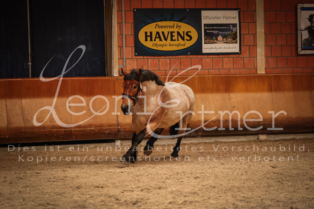 SaFL00311 | Leoni Ertmer Photography - Realisiert mit Pictrs.com