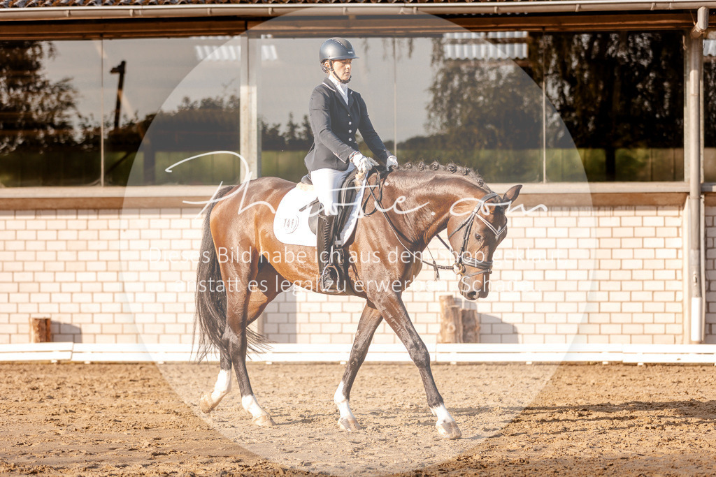 3I6A2393 | Stimmungsvolle Portraits und Reitsportfotografie im Ruhrgebiet und im Münsterland.

Pferdefotografie, Hundefotografie, Tierfotografie, Reportagen, Portraits von Tier und Mensch, Turnierfotografie in Bochum, Recklinghausen, Marl, Haltern am See, Dülmen.. - Realisiert mit Pictrs.com