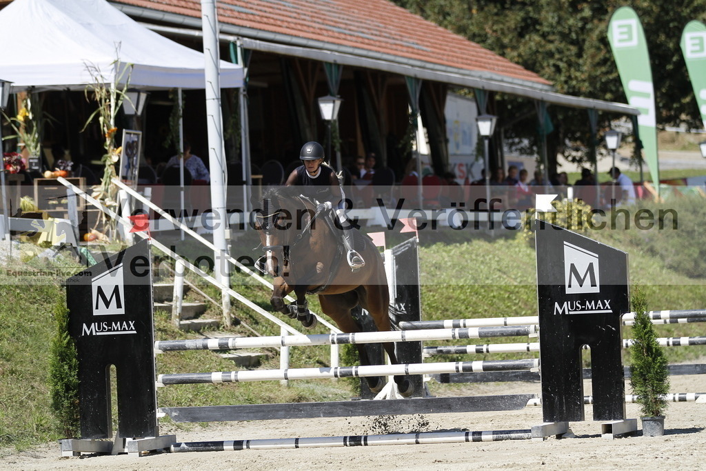 _MG_5182 | equestrian-live-com