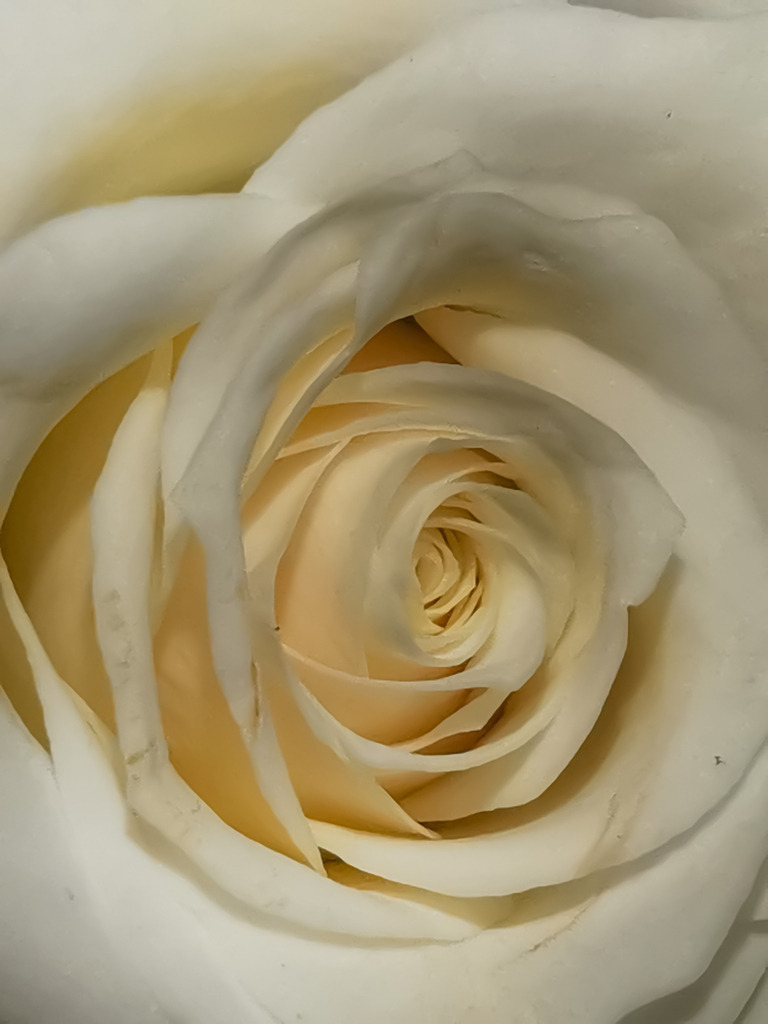 PSX_20230203_212749 | mtkfoto_ - Realisiert mit Pictrs.com