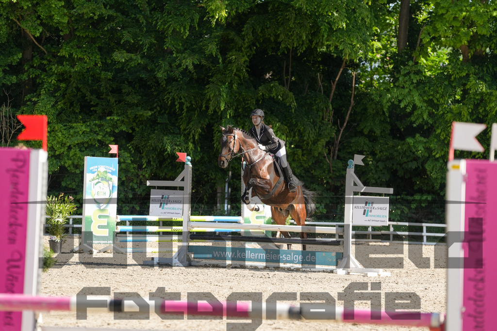 DSC02047 | Julian Held Fotografie - Realisiert mit Pictrs.com