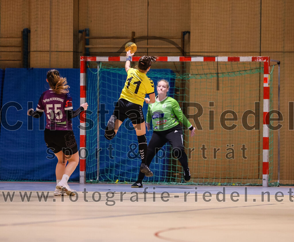 2025-01-11_103_SpVgg_Altenerding_gegen_HF_Scheyern | Erding, Deutschland, 11.01.2025:Handball, Bezirksoberliga Frauen Altbayern 2024 / 2024, 10. Spieltag, SpVgg Altenerding gegen HF Scheyern, Endergebnis: 20:23Verena Kaiser (SpVgg Altenerding, #55), Lieselotte Landskron (HF Scheyern, #11), Torfrau Hanna Obermair (SpVgg Altenerding, #1)Foto: Christian Riedel / fotografie-riedel.net