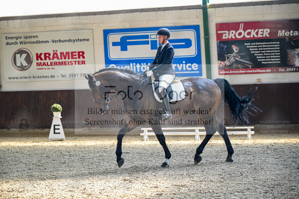 Reitturnier Voxtrup | Entdecke hochwertige Reitturnierfotos von Foto Oger. Professionell, emotional und authentisch – jetzt Lieblingsmomente im Shop bestellen. - Realisiert mit Pictrs.com
