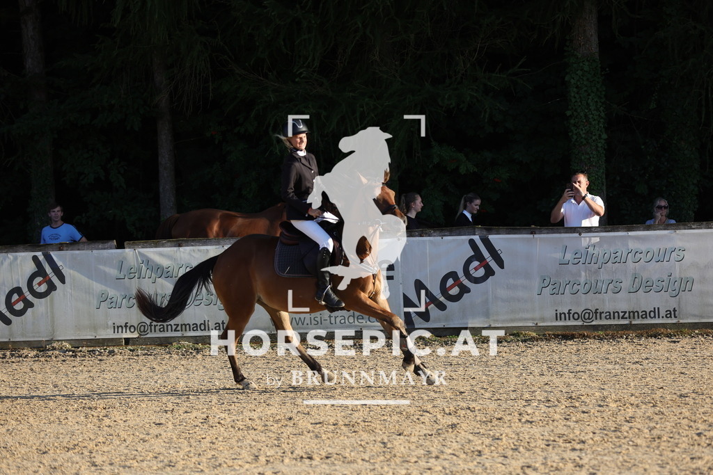 0P6A6716 | Willkommen bei Brunnmayr - Design & Fotografie – Ihrem Spezialisten für Reitturniere und Pferdeveranstaltungen in Oberösterreich, Salzburg und Bayern! Seit über 17 Jahren sind wir leidenschaftlich dabei.