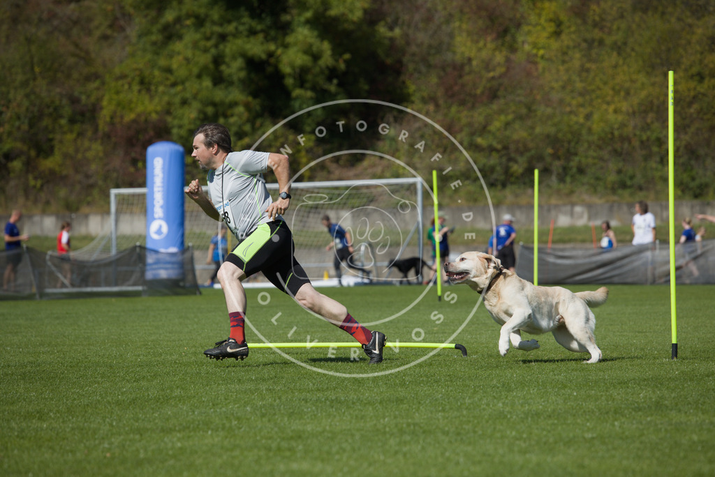 0L8A6421 | Hundefotografie, Tierfotograf, Pfotenfotografie, Fotoshooting Hund, Hunde Portrait, Hundesport, Hundeportraits, Heideshooting, Hunde, Sportfotograf, Hundefotograf, Turnierhundsport, THS,  - Realisiert mit Pictrs.com