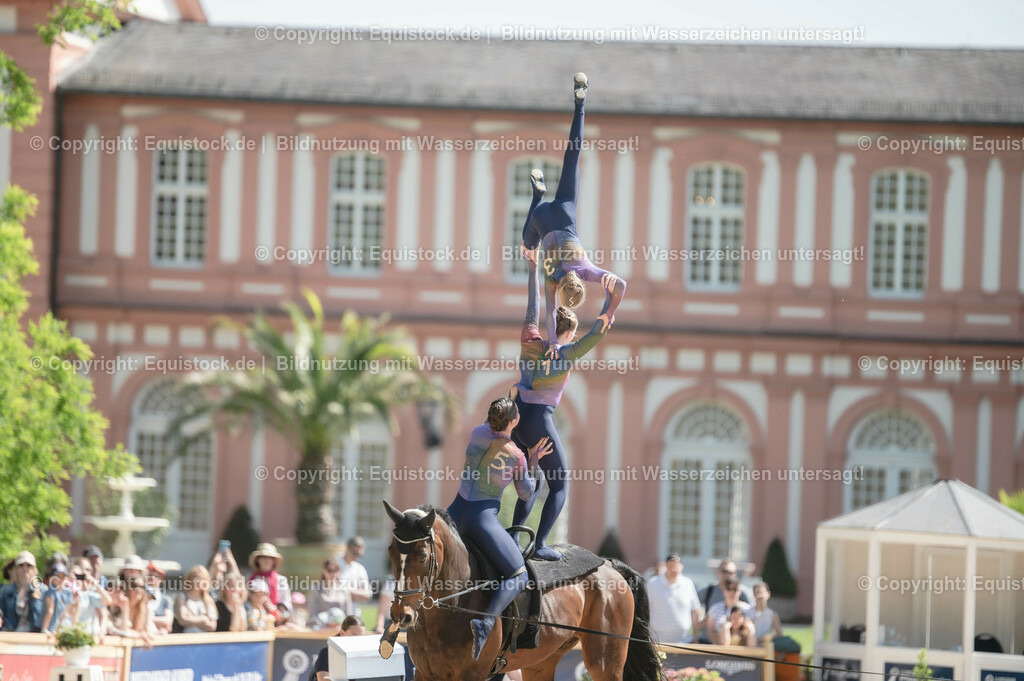 20230528_Voltigieren_NASPA_0500 | equistock