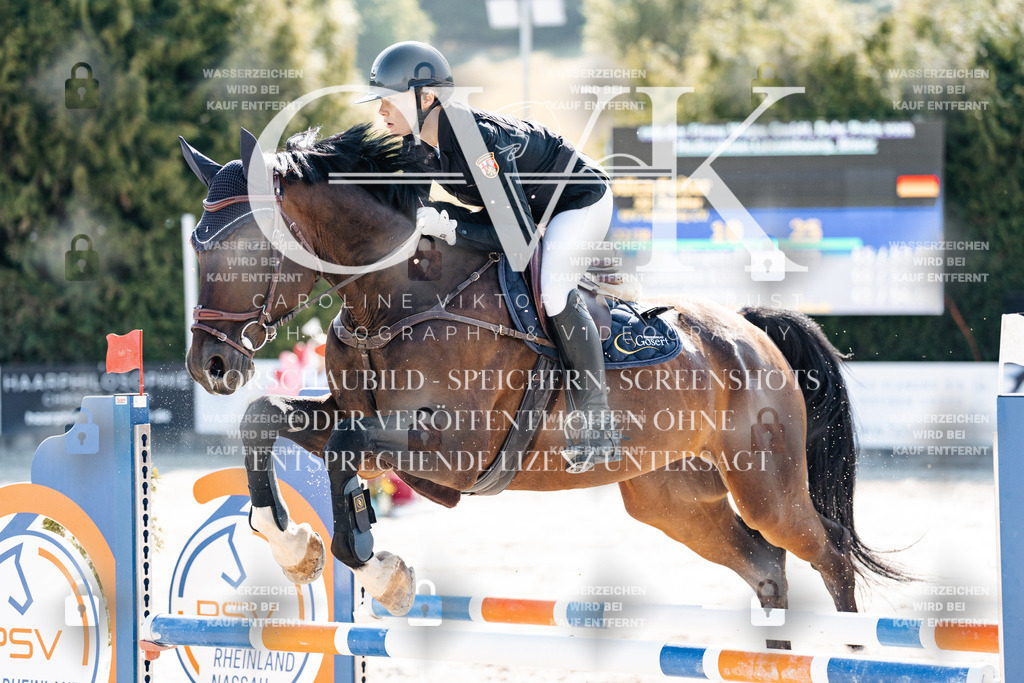 CK902137 | Turnierfotografie Pferdefotografie Trier Rheinland-Pfalz Pferdesport Reitsport Tierfotografie Sportfotografie Pferdevideo Pferdevideografie Equestrianvideography equestrianphotography  - Realisiert mit Pictrs.com