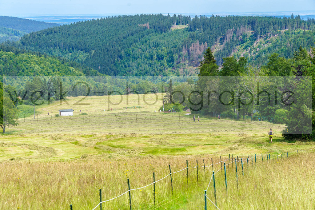 Schneekopflauf 2024 | Am 6. Juli 2024 startete der 21. Schneekopflauf von Schmiedefeld zum Schneekopf.