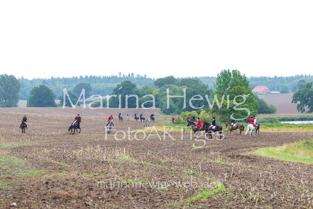 Jagd Kletkamp 26-02980_MarinaHewig | Fotografie, FotoArt, PferdesportArt, Pferdesportfotografie, Landschaftsfotografie, Reisefotografie, Reise, Pferde - Realisiert mit Pictrs.com