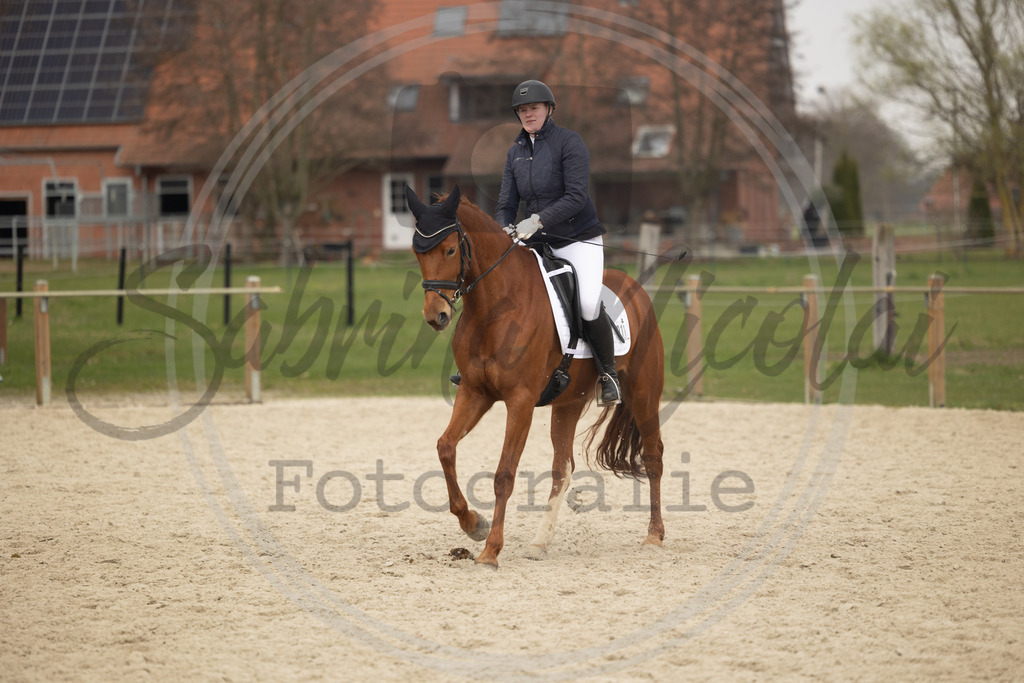 994A9340 | sabrinanicolaifotografie - Realisiert mit Pictrs.com