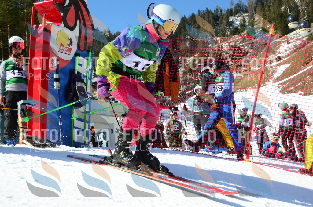 C6181 | holidayphoto