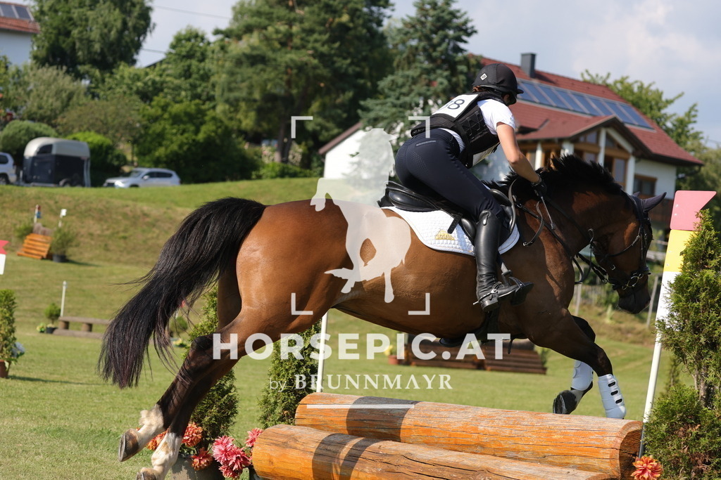 0P6A9240 | Willkommen bei Brunnmayr - Design & Fotografie – Ihrem Spezialisten für Reitturniere und Pferdeveranstaltungen in Oberösterreich, Salzburg und Bayern! Seit über 17 Jahren sind wir leidenschaftlich dabei.