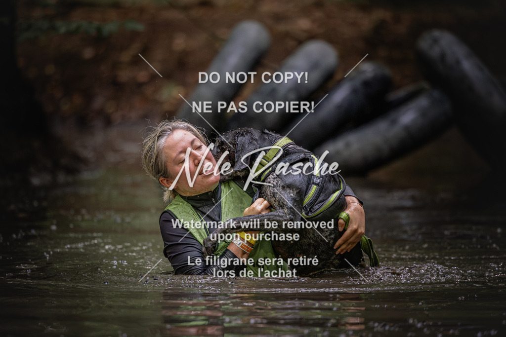 nelerasche_SaWingst1400-1500_293 | nelerasche
