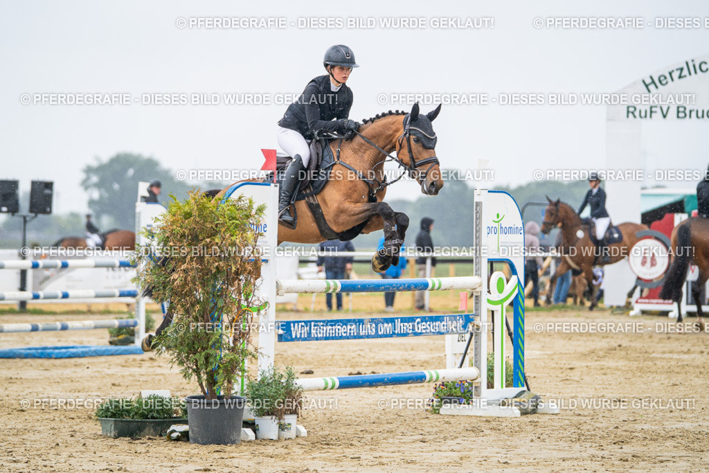 DSC02960 | Pferdegrafie