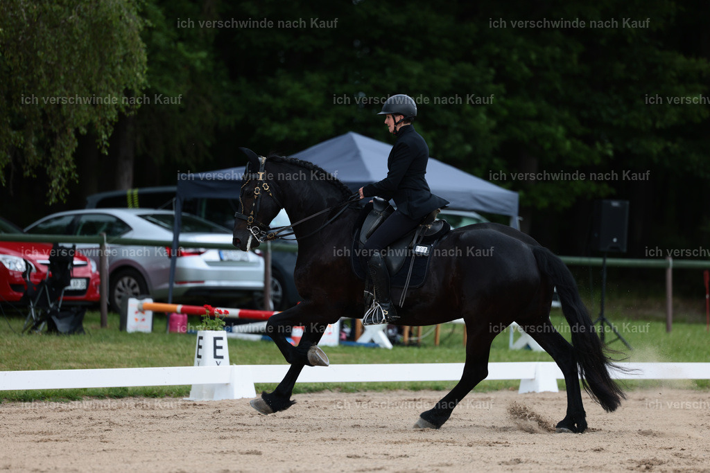 KlasseM_Stoibphotography_C2_L6205.JPG | working equitationturnier fotograf videograf stoibphotography marixx film working equitation deutschland reitsport turnierfotografie eventfotografie equestrian events