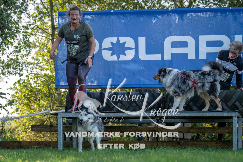 1015--7 | kk-dogfotos