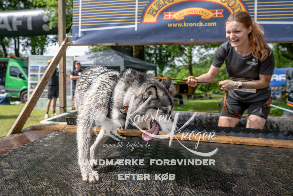 1043_ZZ91832 | kk-dogfotos