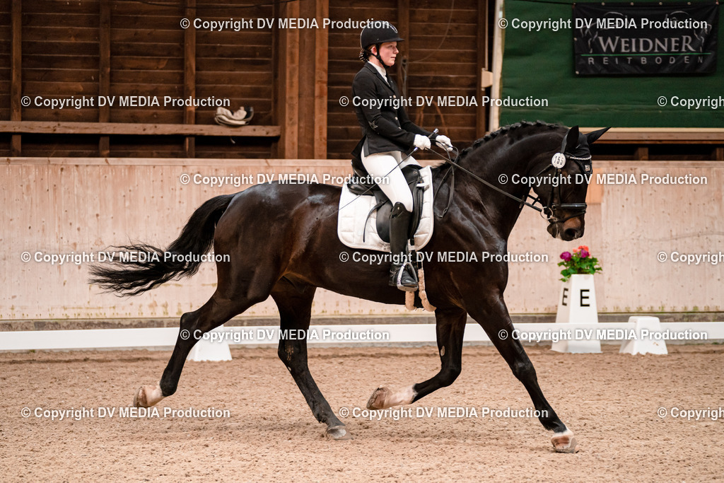 Dressur Tag 2-179 | dv-media-shop - Realisiert mit Pictrs.com