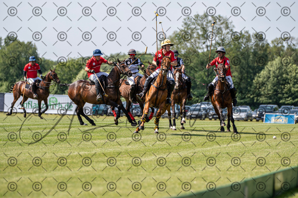 POL_2307 | andre_photographic