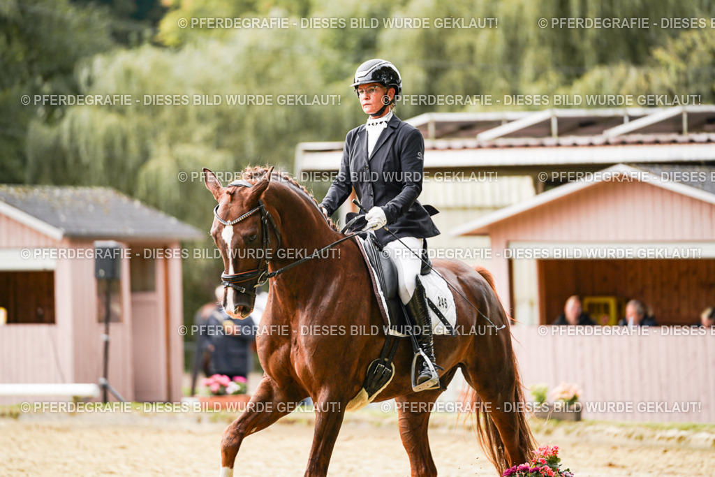 DSC01560 | Pferdegrafie