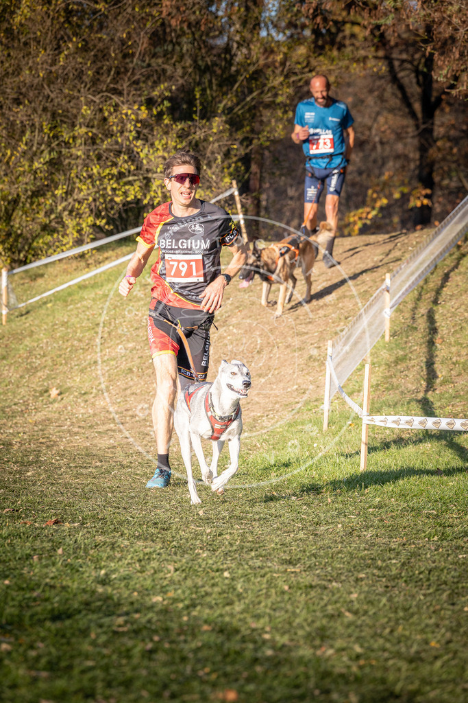 CaniXpix_0L8A0256 | Hundefotografie, Tierfotograf, Pfotenfotografie, Fotoshooting Hund, Hunde Portrait, Hundesport, Hundeportraits, Heideshooting, Hunde, Sportfotograf, Hundefotograf, Turnierhundsport, THS,  - Realisiert mit Pictrs.com