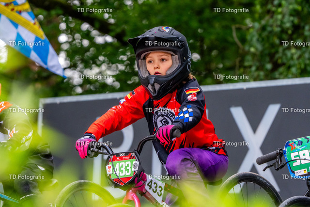 BayBMX2026-06371 | Fotogalerie von Thomas Dettweiler mit Eventbildern und lizenzfreien Fotos. Perfekt als Wandbild, für Büro, Website oder private Nutzung. - Realisiert mit Pictrs.com