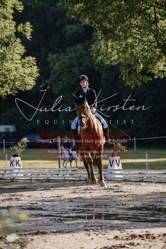 DSC_7709 | Pferde- und Turnierfotografie in Westsachsen. Pferdeportraits, Auftragszeichnungen und intuitive Kunst.