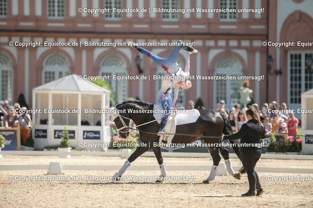 20230528_Voltigieren_NASPA_0284 | equistock