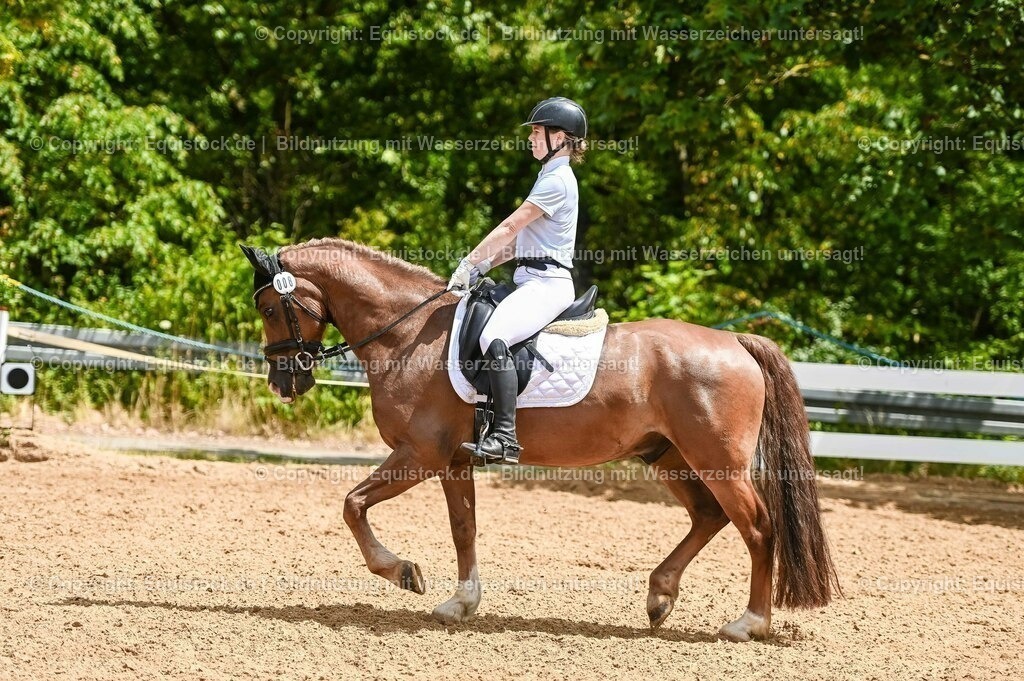 20230715_05_Dressurprüfung Kl.A++_0197 | equistock