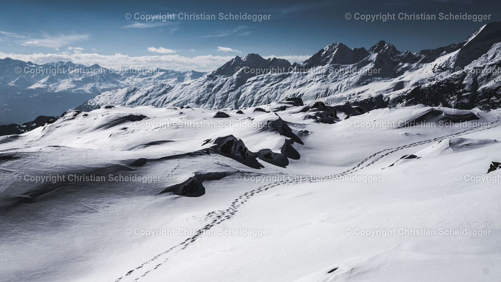 Follow My Footsteps | Entdecke hochwertige Fine Art Prints und Fotografien vom professionellen Fotografen aus Luzern. Jedes Motiv wird mit Liebe zum Detail aufgenommen, sorgfältig bearbeitet und in bester Qualität gedruckt – perfekt für Wohnräume, Büros oder als besonderes Ges - Realisiert mit Pictrs.com