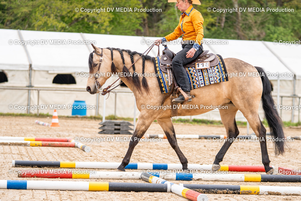 Heiligenwald Tag 1-437 | dv-media-shop - Realisiert mit Pictrs.com