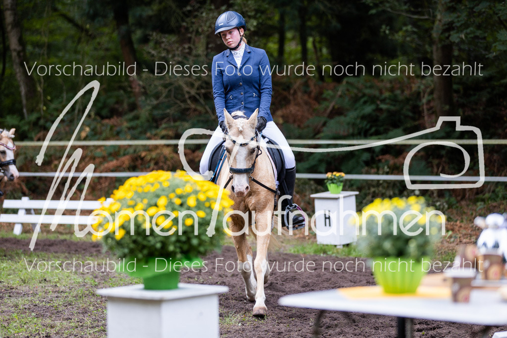 HB-Reiter-WB-079 | MomenTaufnahmen Pferdesportfotos