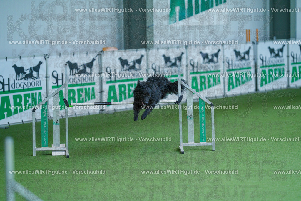 @allesWIRTHgut_Tierfotografie - www.allesWIRTHgut.de - 2604261401-7R503237 | Professionelle Tierfotografie in Mönchengladbach von Daniel Wirth (allesWIRTHgut). Liebevolle & natürliche Bilder von Hunden & Katzen für unvergessliche Erinnerungen.