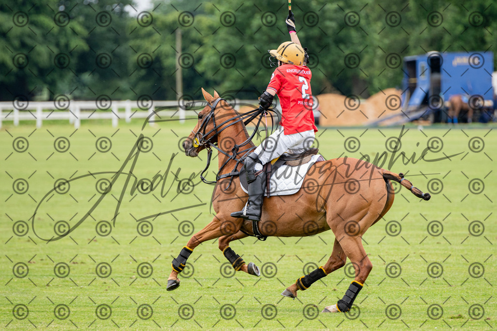 POL_2731 | andre_photographic