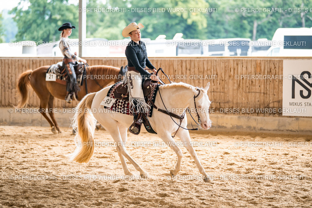 DSC00768 | Pferdegrafie