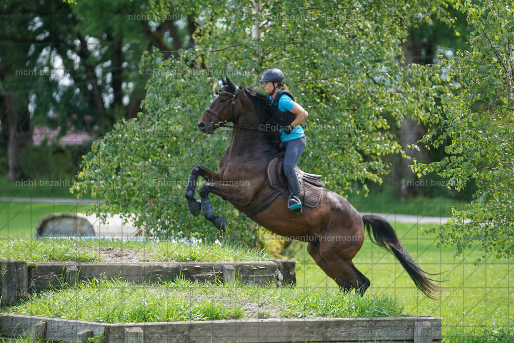 20240622-FAH07666 | Turnierfotografen Bayern, Reitsportbilder aus dem Geländekurs mit Felix Etzel auf dem Gut Waitzacker 2024
