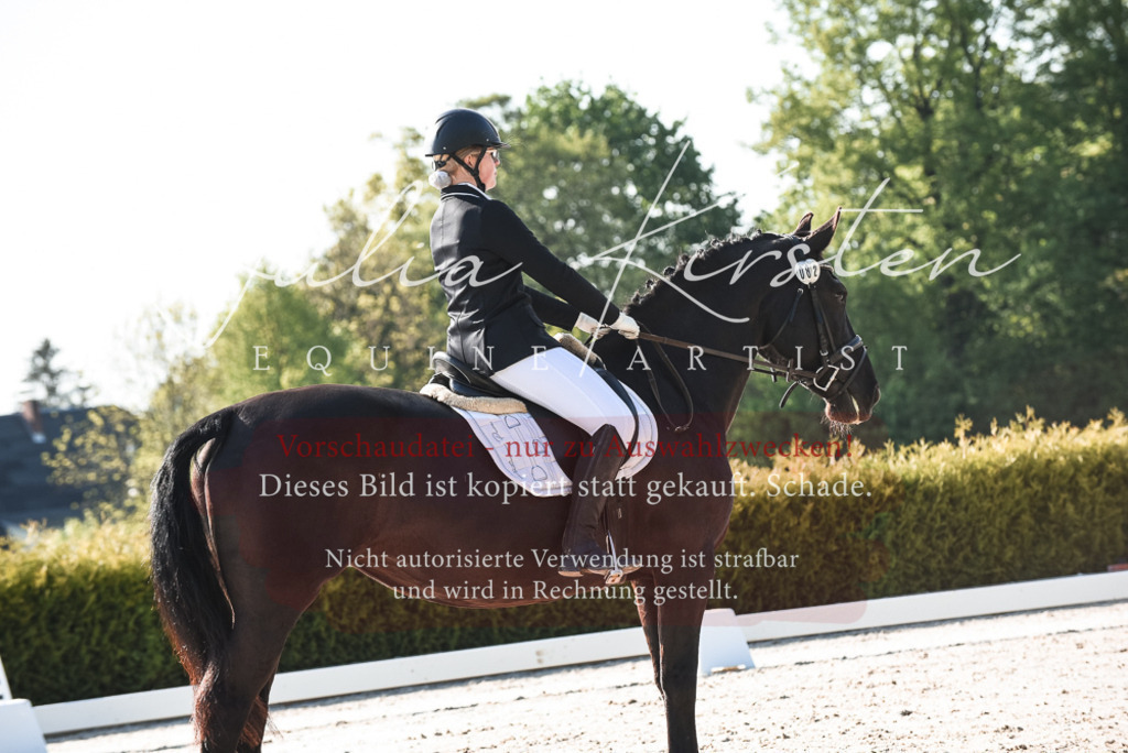 20230518_JK-Röhrsdorf-09-0634 | Pferde- und Turnierfotografie in Westsachsen. Pferdeportraits, Auftragszeichnungen und intuitive Kunst.