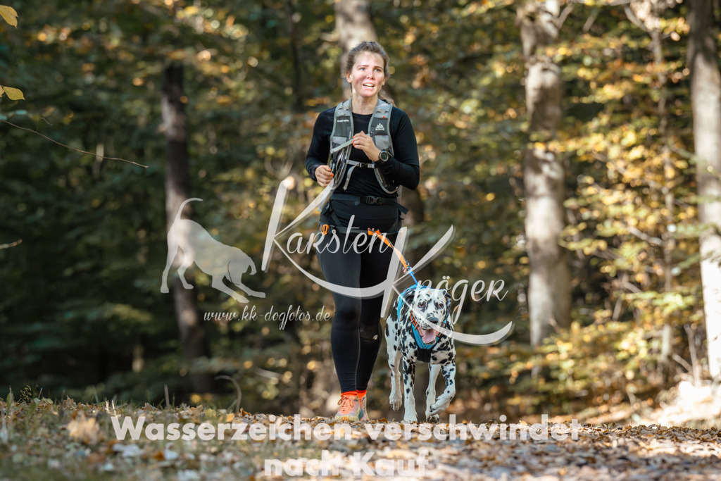 1211_ZZ94461 | kk-dogfotos