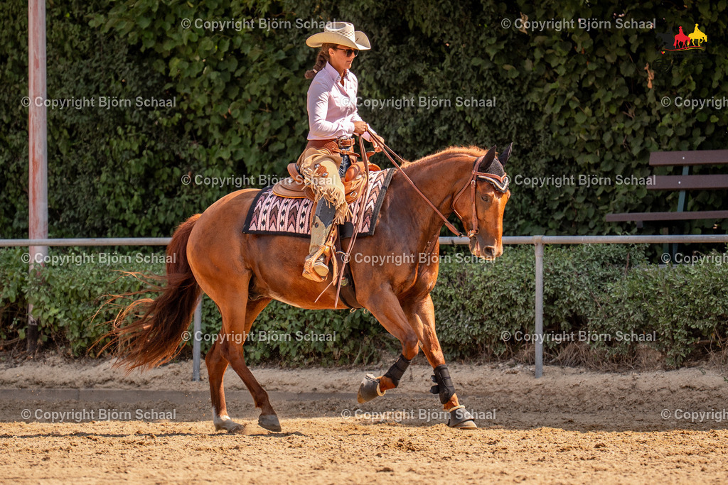 LMS05831 | BS-foto