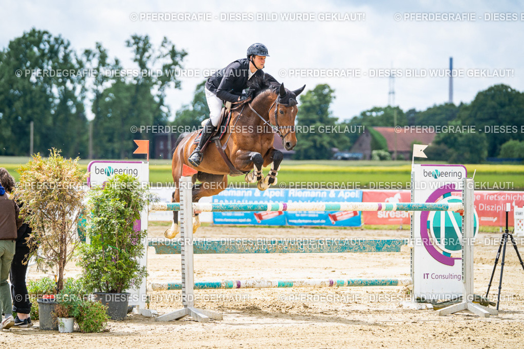 DSC04741 | Pferdegrafie