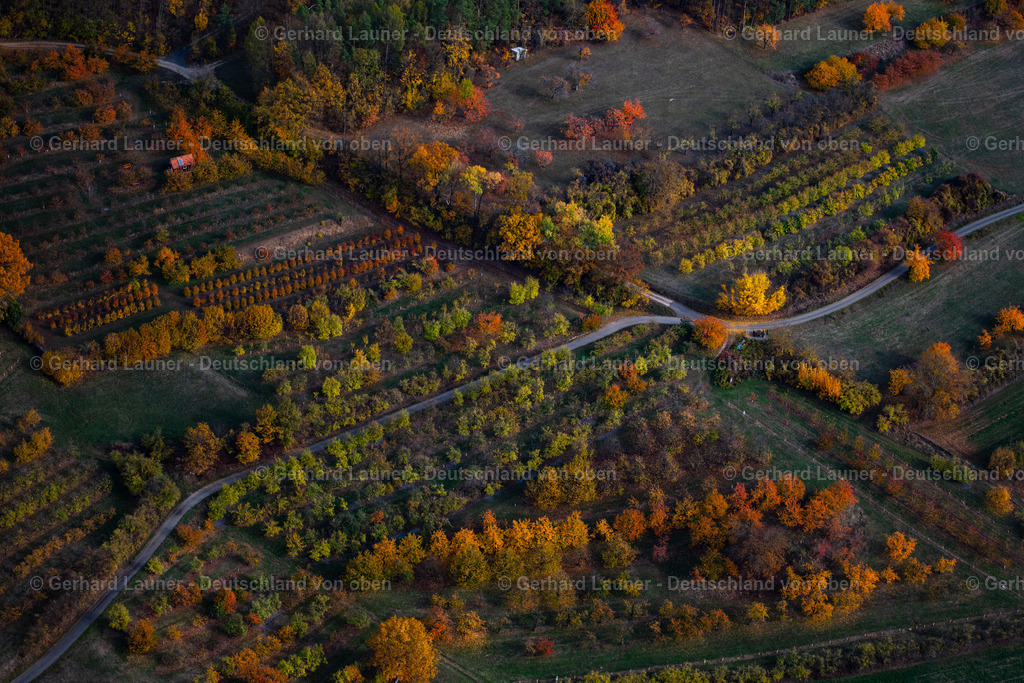 3808261 | Herbstliche Bäume am Teufelstisch bei Dachstadt