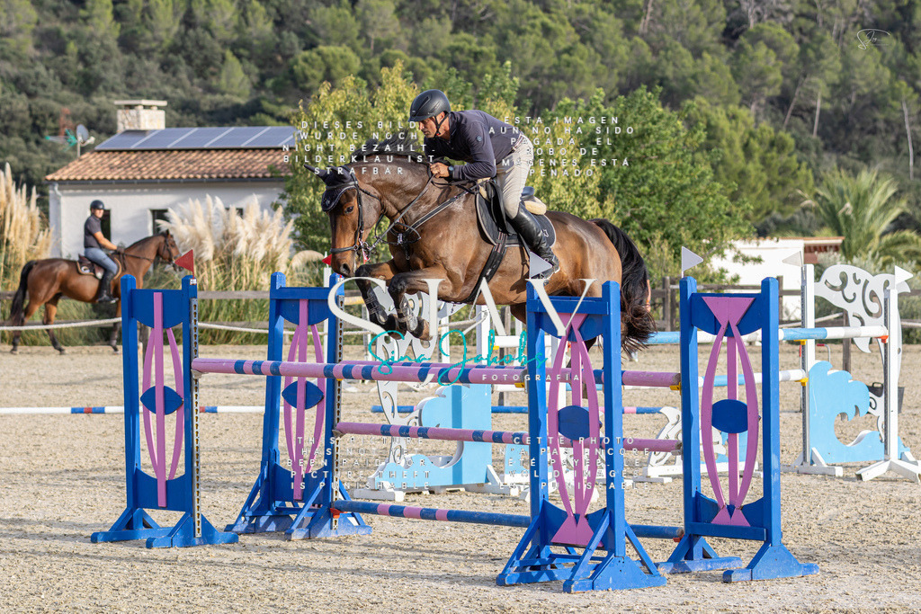 IMG_4995 | s-jay-photography - Realisiert mit Pictrs.com